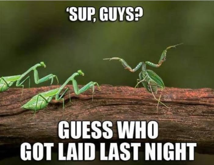 'SUP, GUYS? GUESS WHO GOT LAID LAST NIGHT