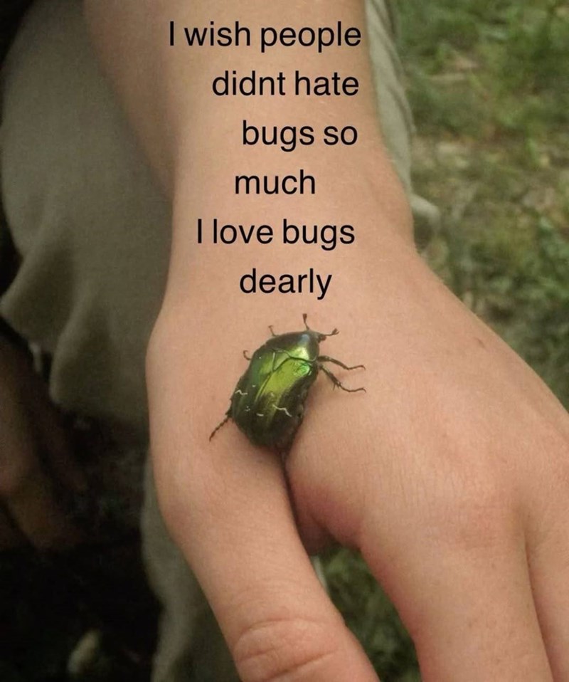I wish people didnt hate bugs so much I love bugs dearly