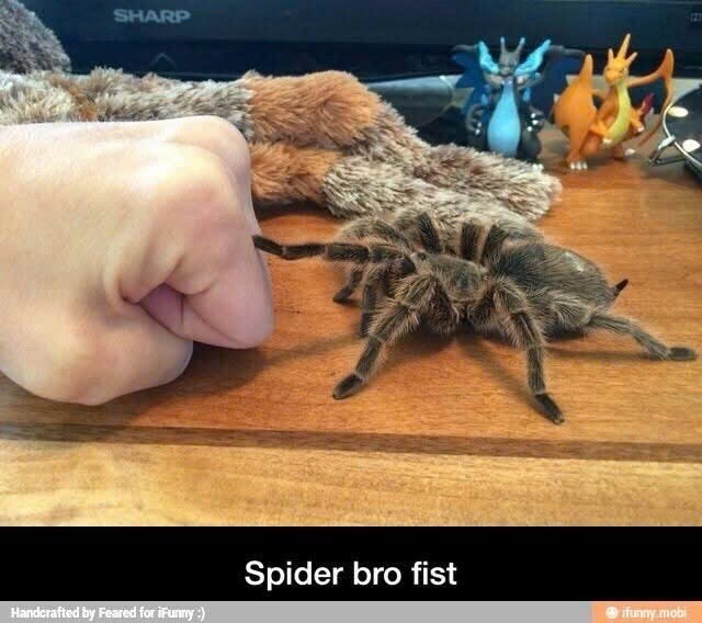 SHARP Handcrafted by Feared for iFunny :) Spider bro fist ifunny.mobi