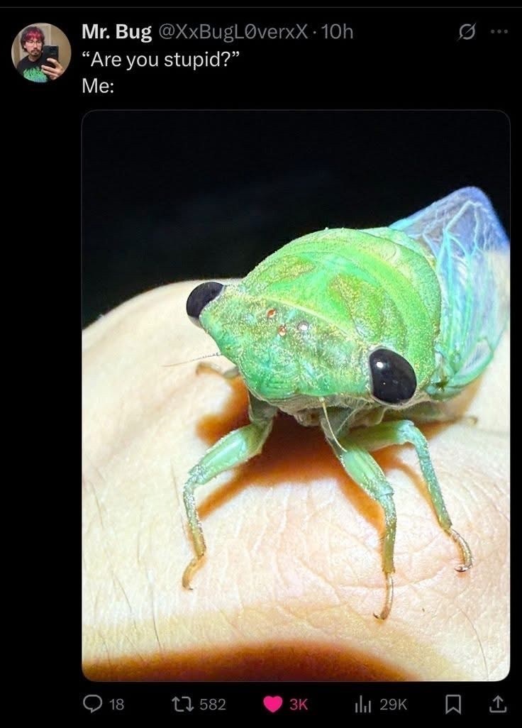 18 Mr. Bug @XxBugLØverxX 10h "Are you stupid?" Me: 582 3K ili 29K Q 600