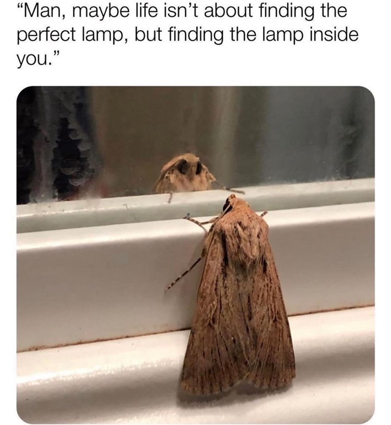 "Man, maybe life isn't about finding the perfect lamp, but finding the lamp inside. you."