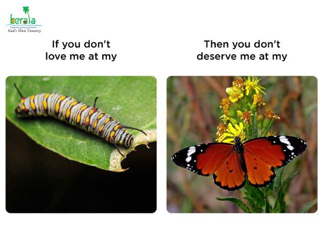 kerala God's Own Country If you don't love me at my Then you don't deserve me at my