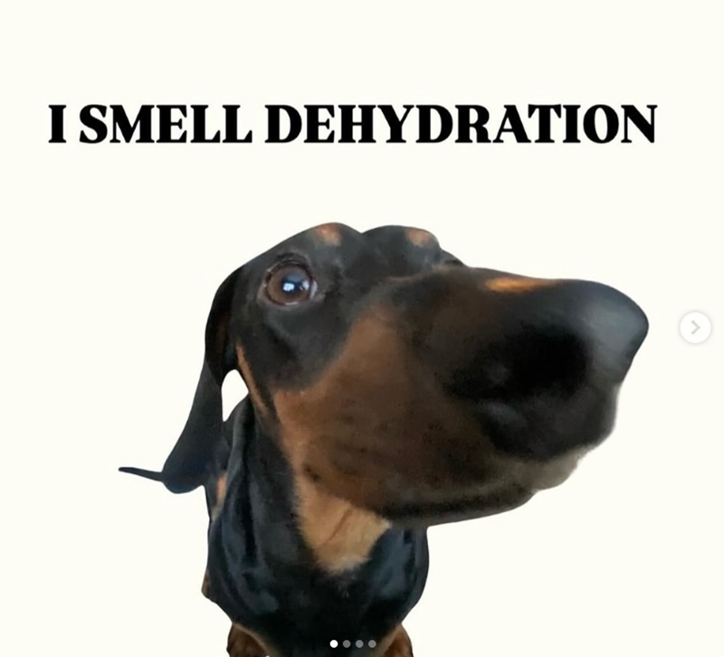 I SMELL DEHYDRATION <