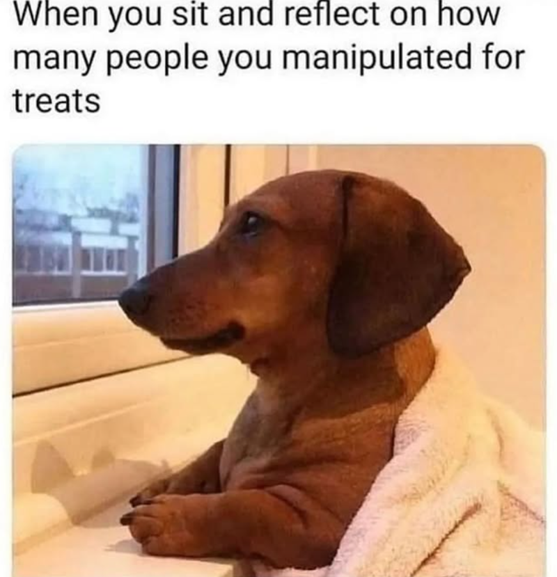 When you sit and reflect on how many people you manipulated for treats H