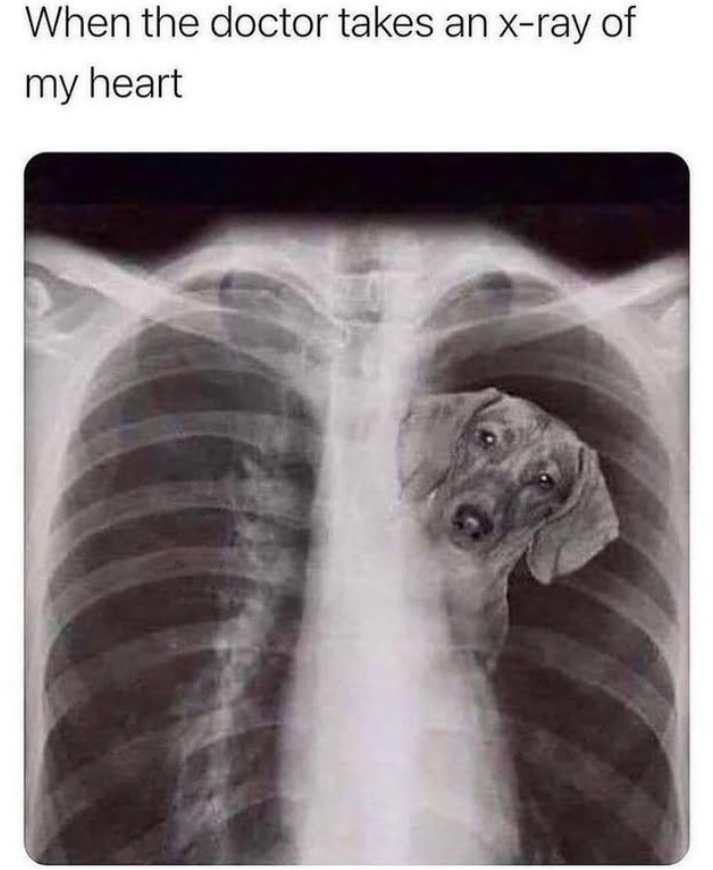 When the doctor takes an x-ray of my heart