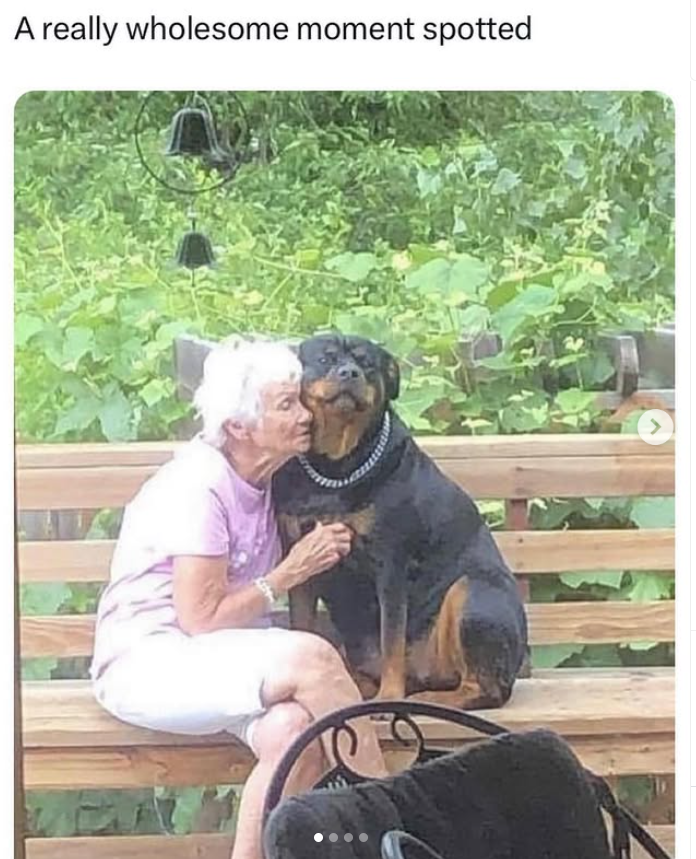 A really wholesome moment spotted >