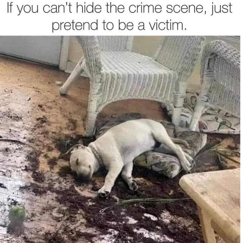 If you can't hide the crime scene, just pretend to be a victim.
