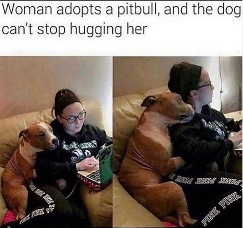 Woman adopts a pitbull, and the dog can't stop hugging her BRIS ANIS NI PINK PINK
