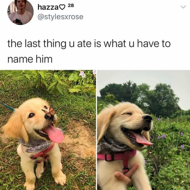 hazza 28 @stylesxrose the last thing u ate is what u have to name him