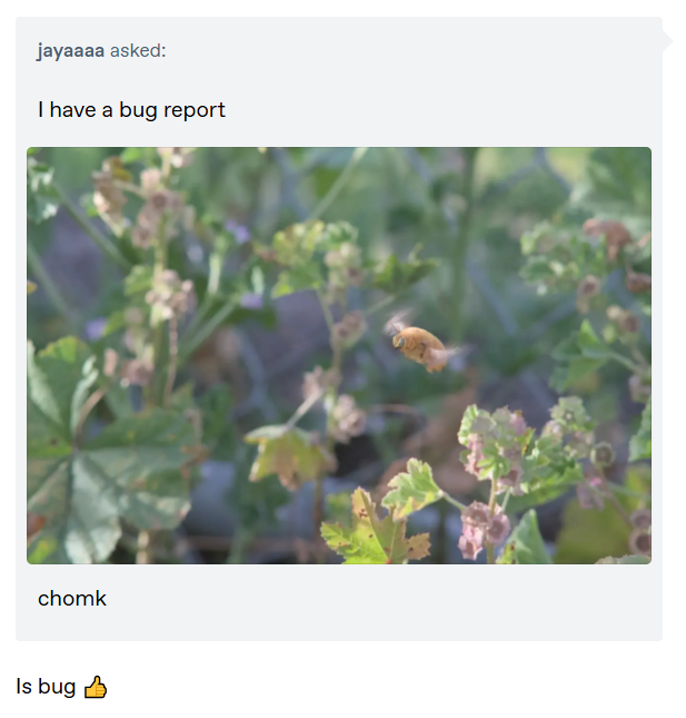 jayaaaa asked: I have a bug report chomk Is bug