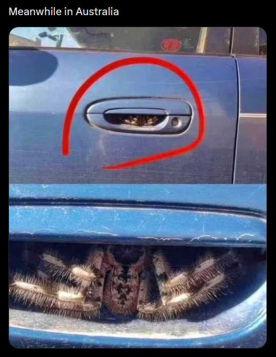 Meanwhile in Australia