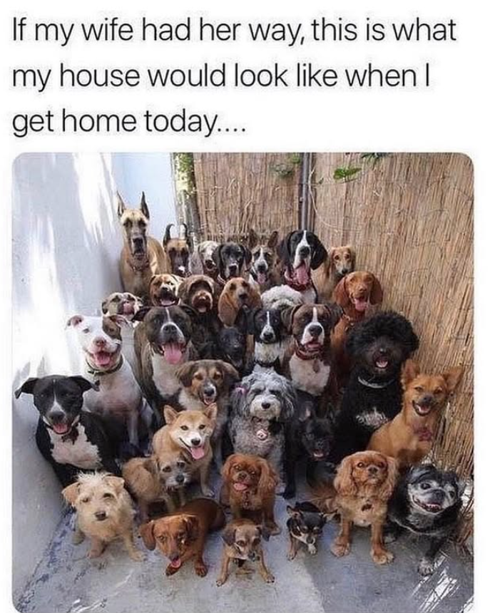 If my wife had her way, this is what my house would look like when I get home today....