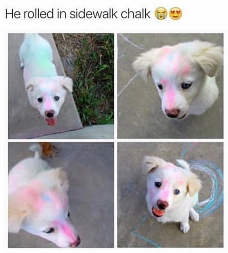 He rolled in sidewalk chalk 59