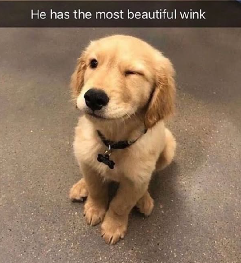 He has the most beautiful wink