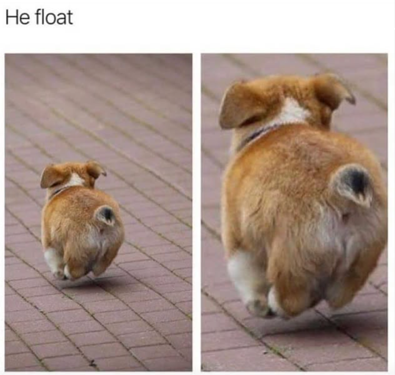 He float