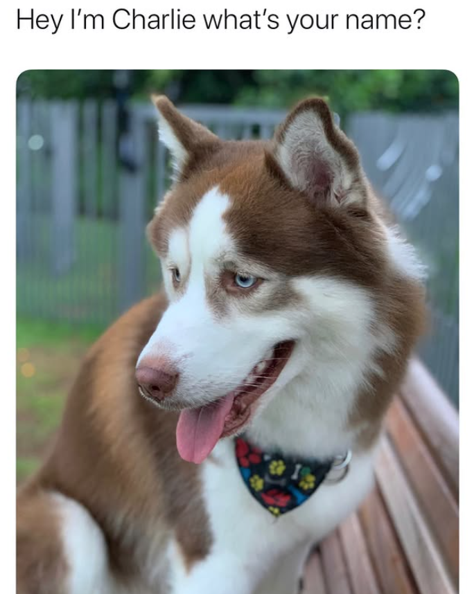 Hey I'm Charlie what's your name?