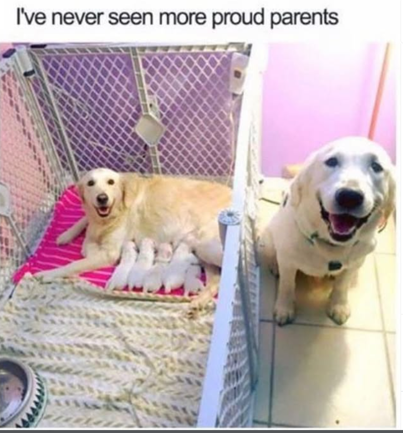 I've never seen more proud parents
