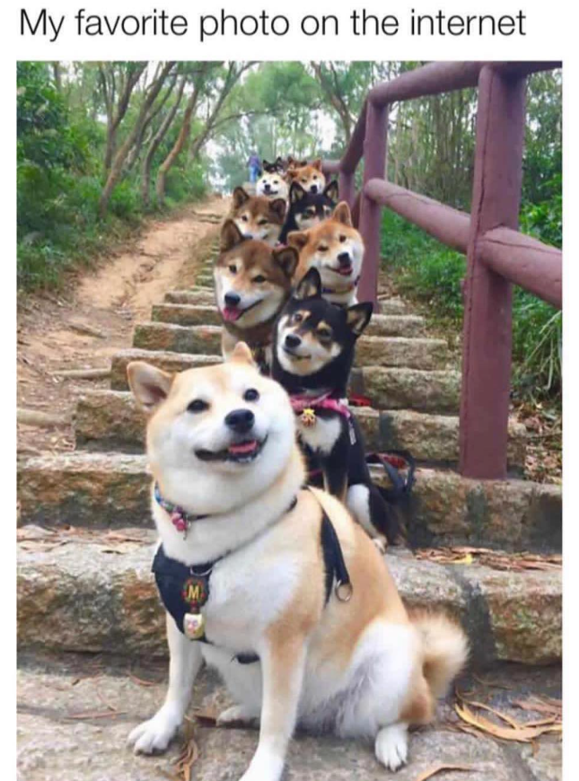 My favorite photo on the internet M