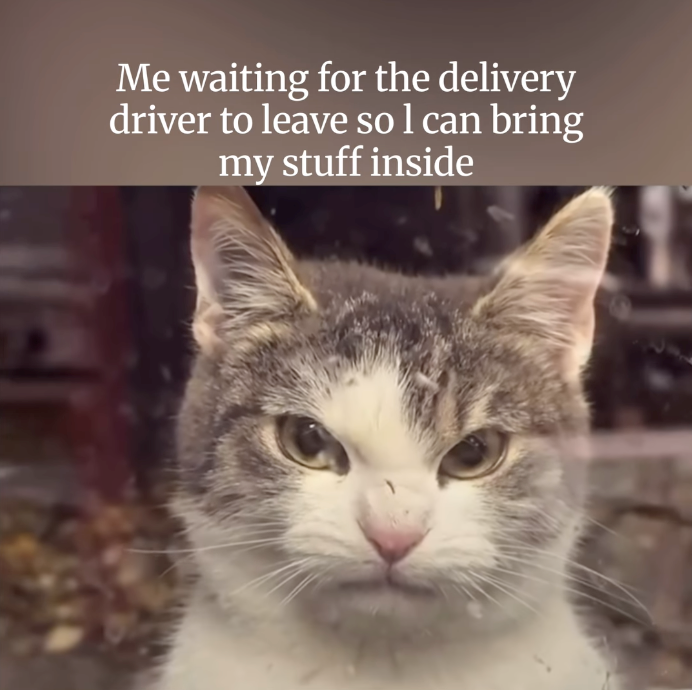 Me waiting for the delivery driver to leave so I can bring my stuff inside