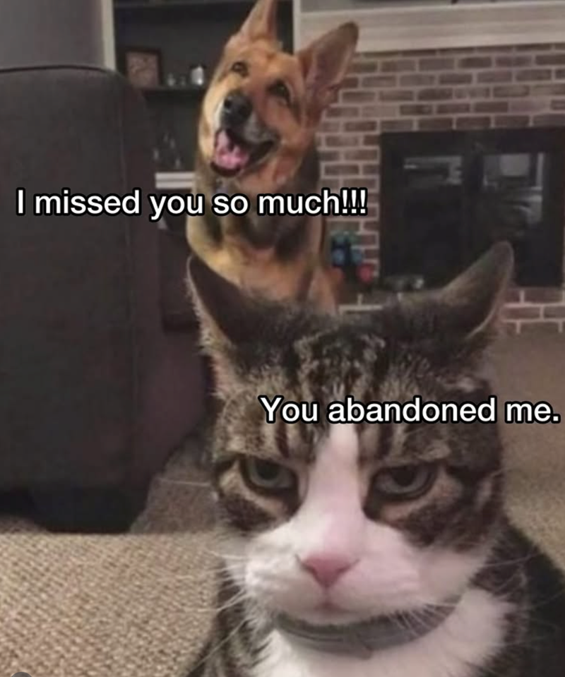 I missed you so much!!!! You abandoned me.