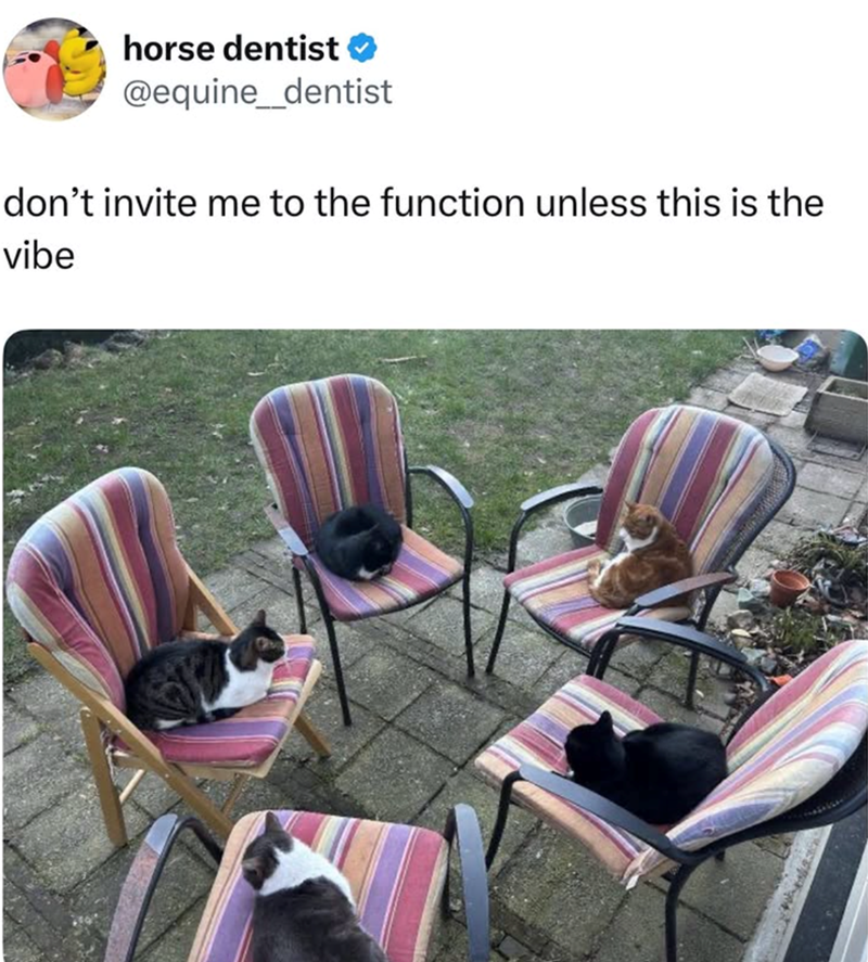 horse dentist @equine_dentist don't invite me to the function unless this is the vibe