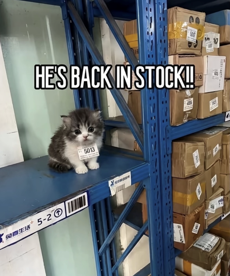 兔鸡生活5-2 HE'S BACK IN STOCK!! 5013 FEB&BBM 118 SON H07 V 406 AC ཚེ