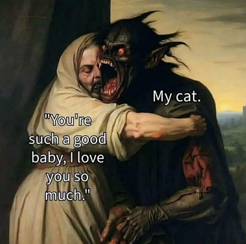 "You're such a good baby, I love you so much." My cat.