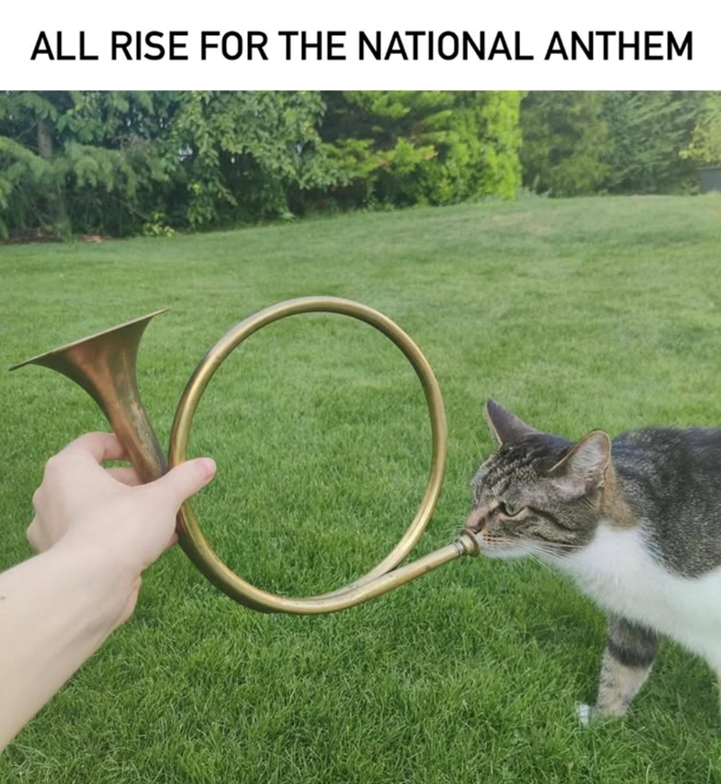 ALL RISE FOR THE NATIONAL ANTHEM