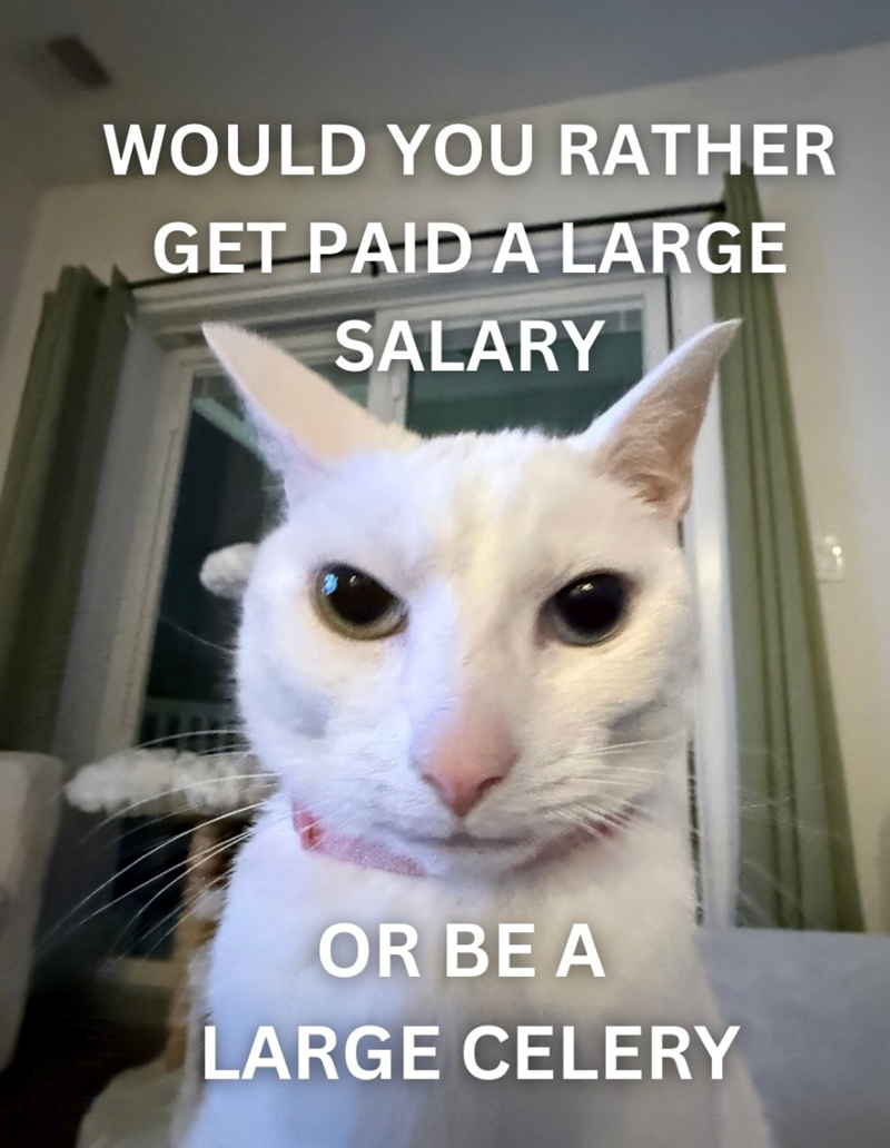 WOULD YOU RATHER GET PAID A LARGE SALARY OR BE A LARGE CELERY