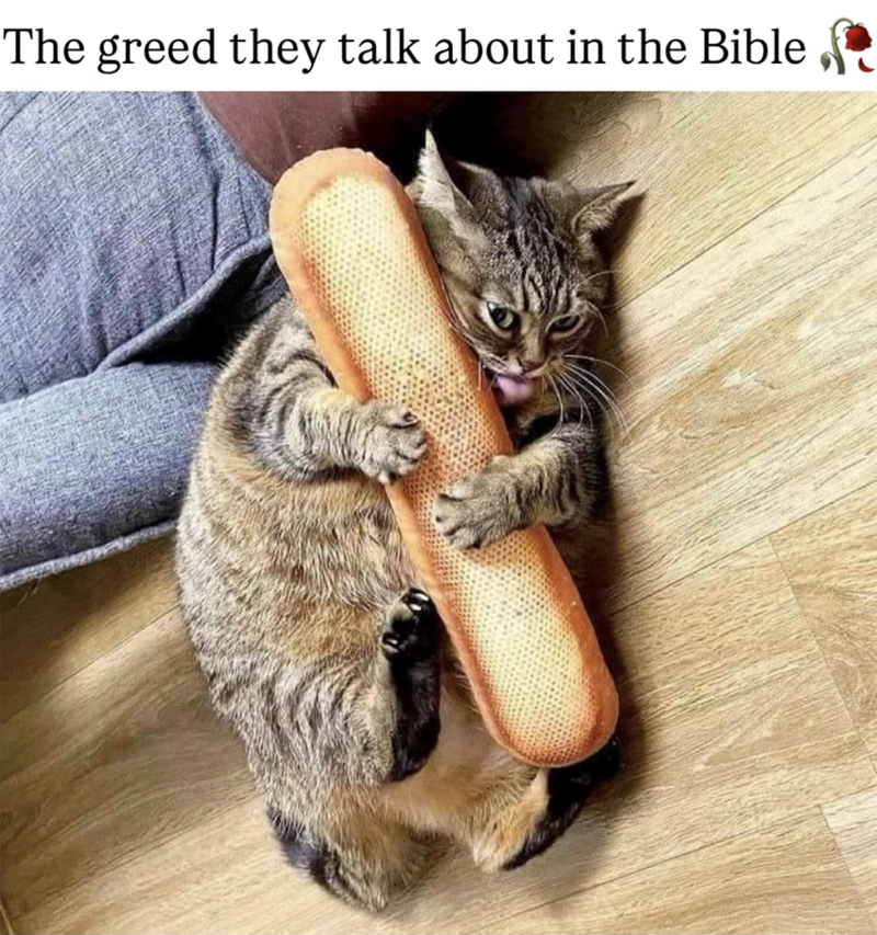 The greed they talk about in the Bible