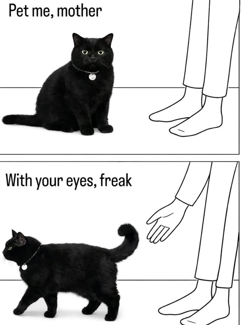 Pet me, mother With your eyes, freak