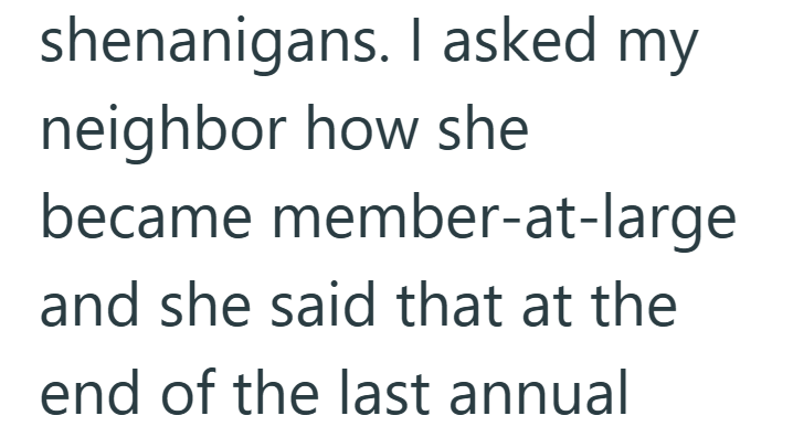 shenanigans. I asked my neighbor how she became member-at-large and she said that at the end of the last annual