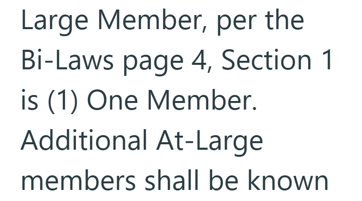 Large Member, per the Bi-Laws page 4, Section 1 is (1) One Member. Additional At-Large members shall be known