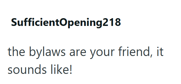 SufficientOpening218 the bylaws are your friend, it sounds like!