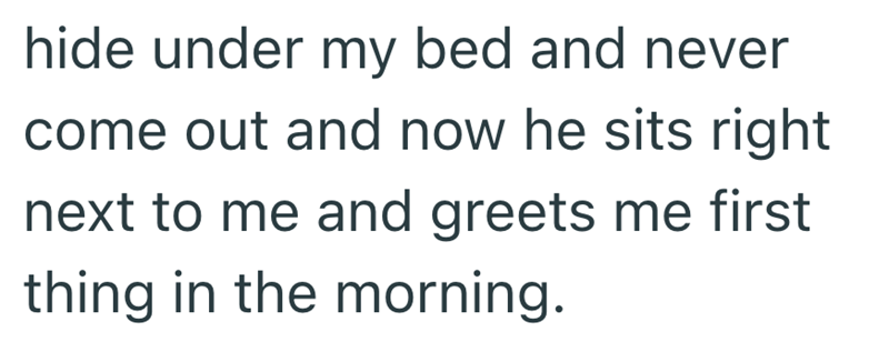 hide under my bed and never come out and now he sits right next to me and greets me first thing in the morning.