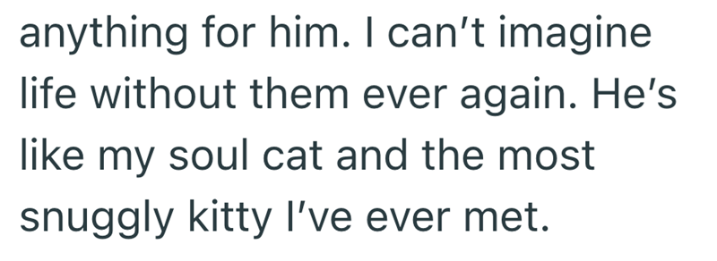 anything for him. I can't imagine life without them ever again. He's like my soul cat and the most snuggly kitty I've ever met.