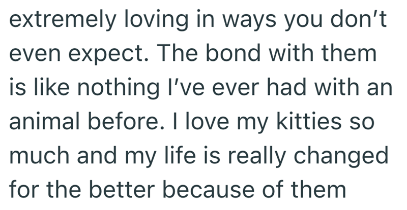 extremely loving in ways you don't even expect. The bond with them is like nothing I've ever had with an animal before. I love my kitties so much and my life is really changed for the better because of them