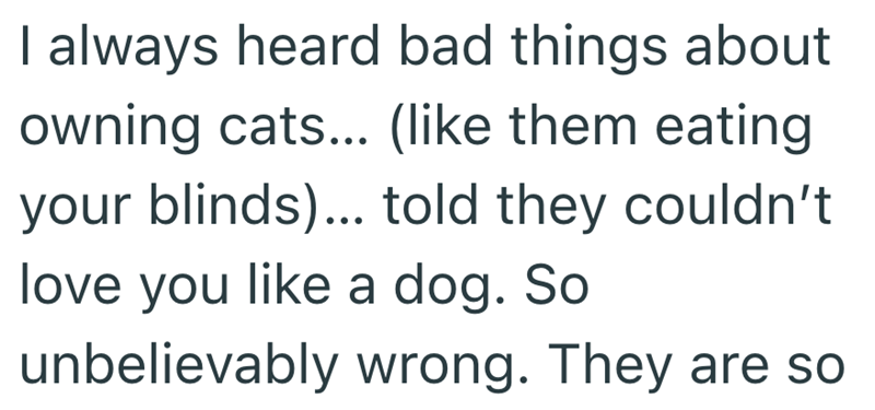 I always heard bad things about owning cats... (like them eating your blinds)... told they couldn't love you like a dog. So unbelievably wrong. They are so