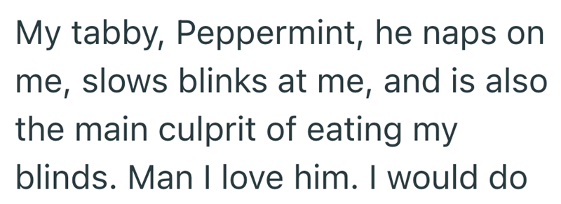 My tabby, Peppermint, he naps on me, slows blinks at me, and is also the main culprit of eating my blinds. Man I love him. I would do
