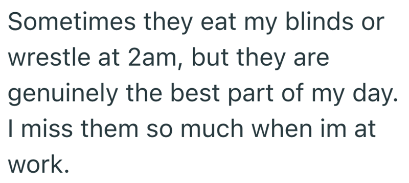 Sometimes they eat my blinds or wrestle at 2am, but they are genuinely the best part of my day. I miss them so much when im at work.