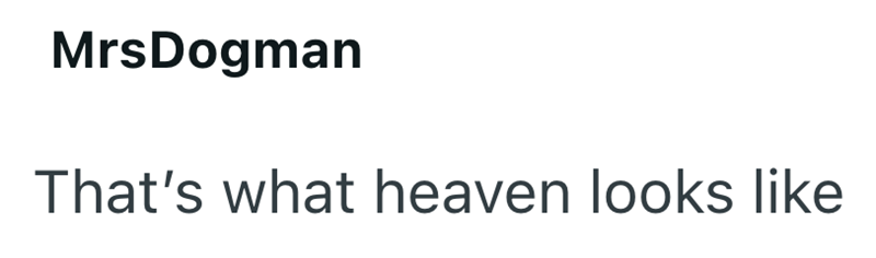 MrsDogman That's what heaven looks like