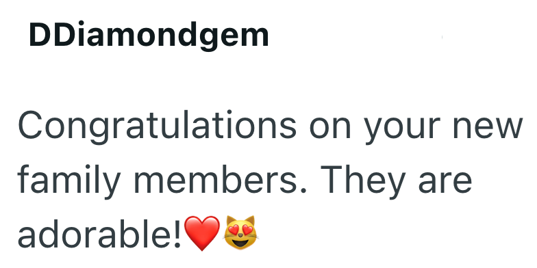 DDiamondgem Congratulations on your new family members. They are adorable!