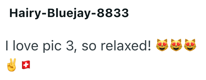 Hairy-Bluejay-8833 I love pic 3, so relaxed! +