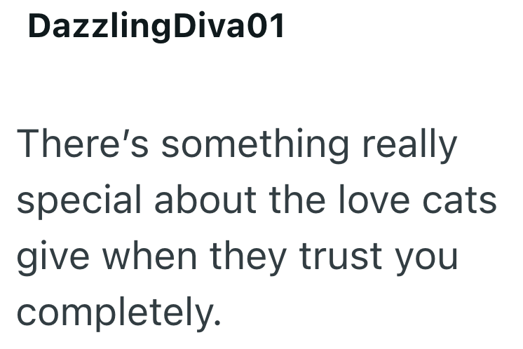 Dazzling Diva01 There's something really special about the love cats give when they trust you completely.