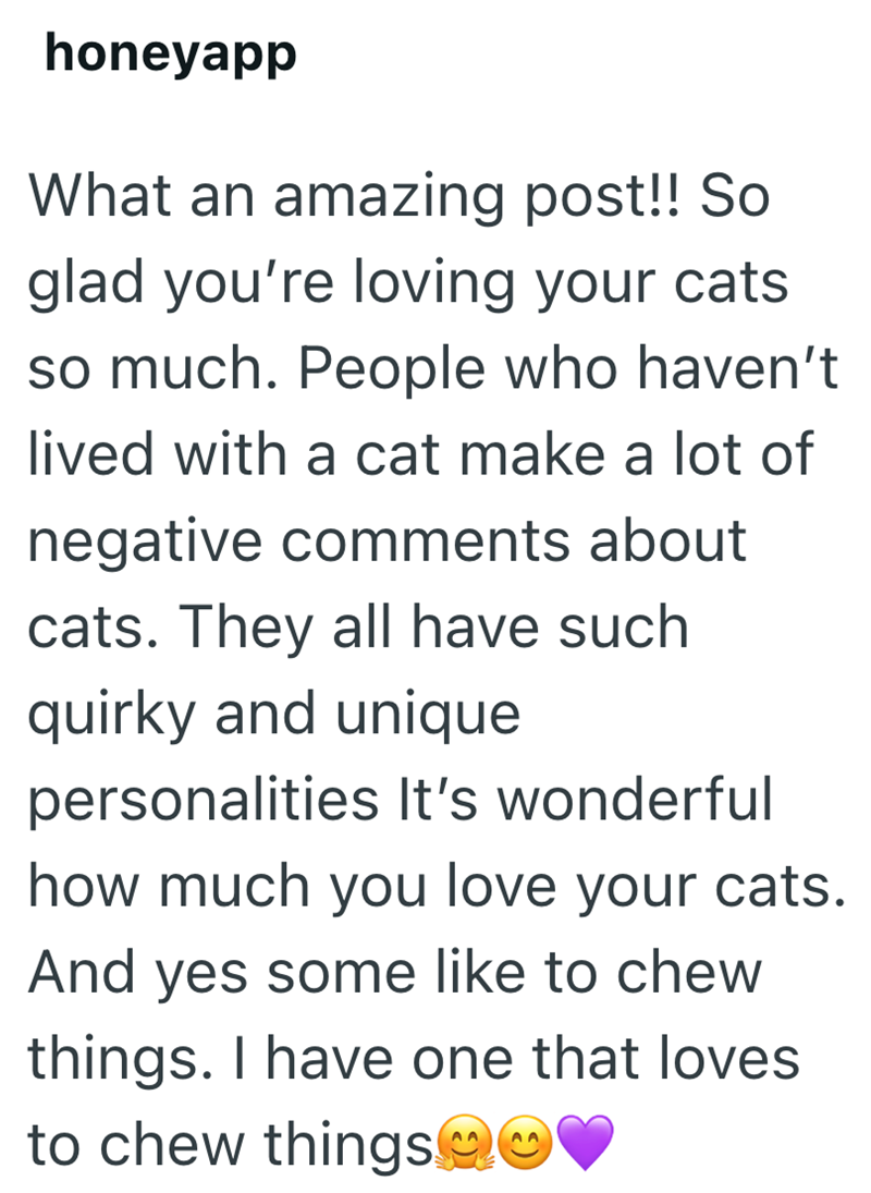 honeyapp What an amazing post!! So glad you're loving your cats so much. People who haven't lived with a cat make a lot of negative comments about cats. They all have such quirky and unique personalities It's wonderful how much you love your cats. And yes some like to chew things. I have one that loves to chew things