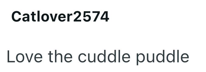 Catlover2574 Love the cuddle puddle