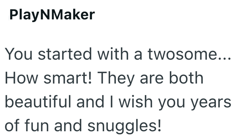 PlayNMaker You started with a twosome... How smart! They are both beautiful and I wish you years of fun and snuggles!