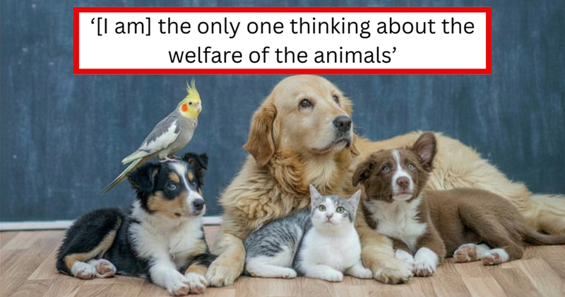 '[I am] the only one thinking about the welfare of the animals'