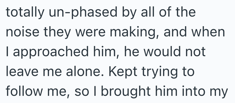 totally un-phased by all of the noise they were making, and when I approached him, he would not leave me alone. Kept trying to follow me, so I brought him into my