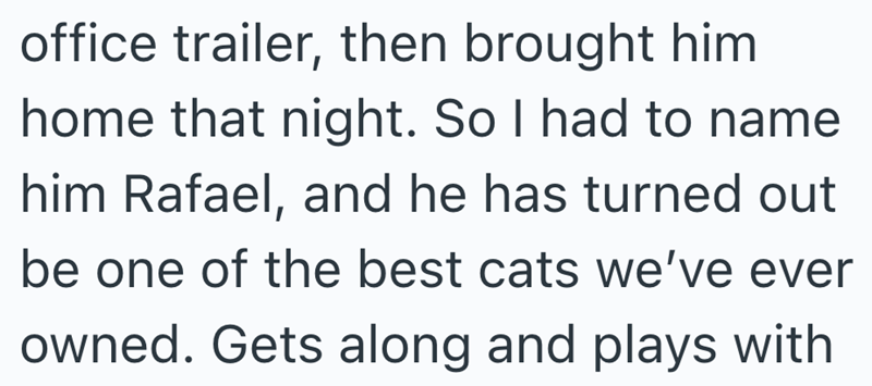office trailer, then brought him home that night. So I had to name him Rafael, and he has turned out be one of the best cats we've ever owned. Gets along and plays with